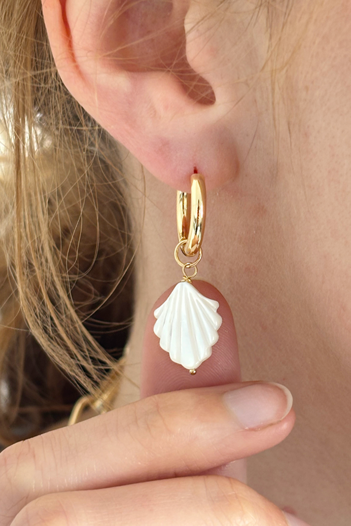 CONCH SHELL