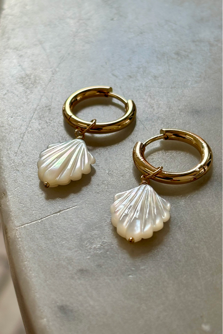 CONCH SHELL