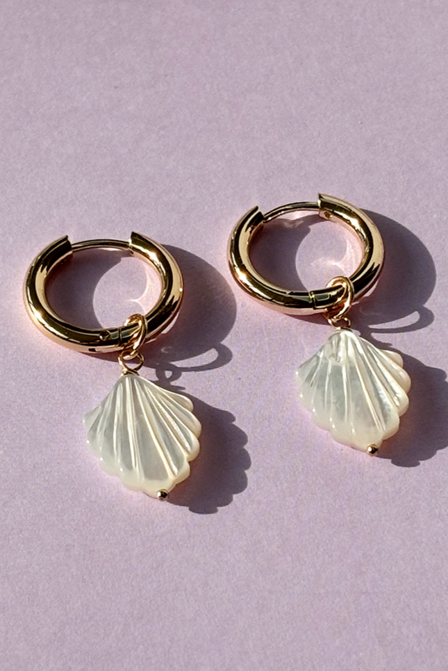 CONCH SHELL