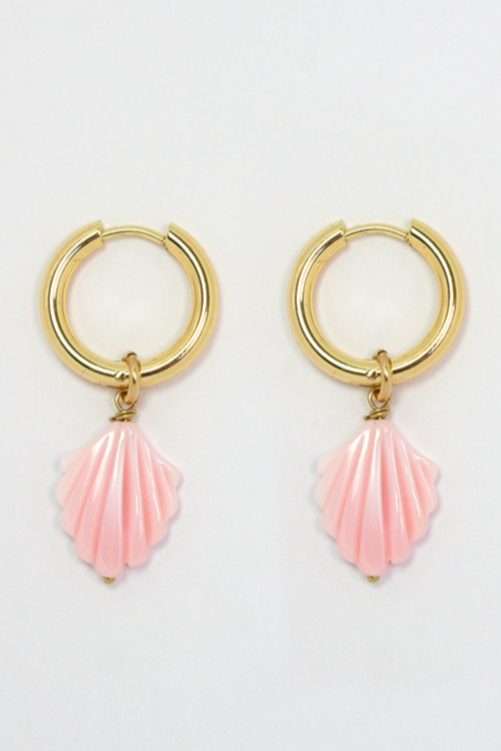 CONCH SHELL
