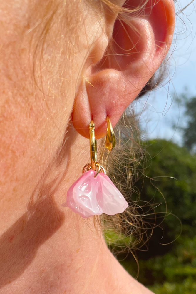 PIPPA #Archive price