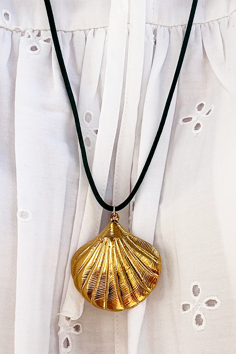 SCALLOP Shell