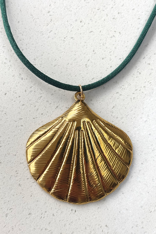 SCALLOP Shell